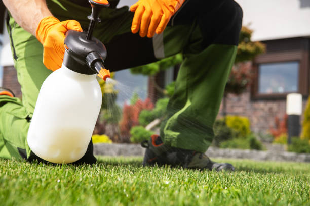 Best Pest Control for Homes  in Dayton, NJ