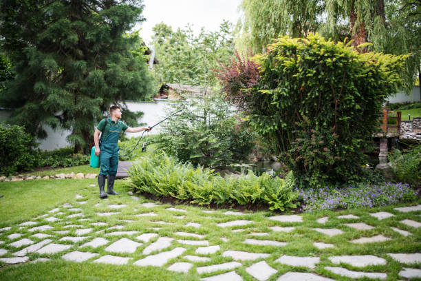 Best Best Pest Control Companies  in Dayton, NJ
