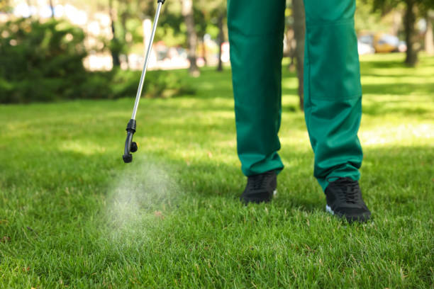 Best Rat Extermination Near Me  in Dayton, NJ